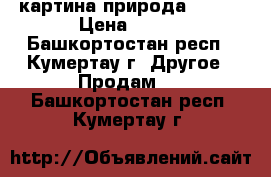 картина природа 67/96 › Цена ­ 600 - Башкортостан респ., Кумертау г. Другое » Продам   . Башкортостан респ.,Кумертау г.